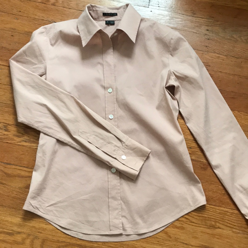 Theory button  down